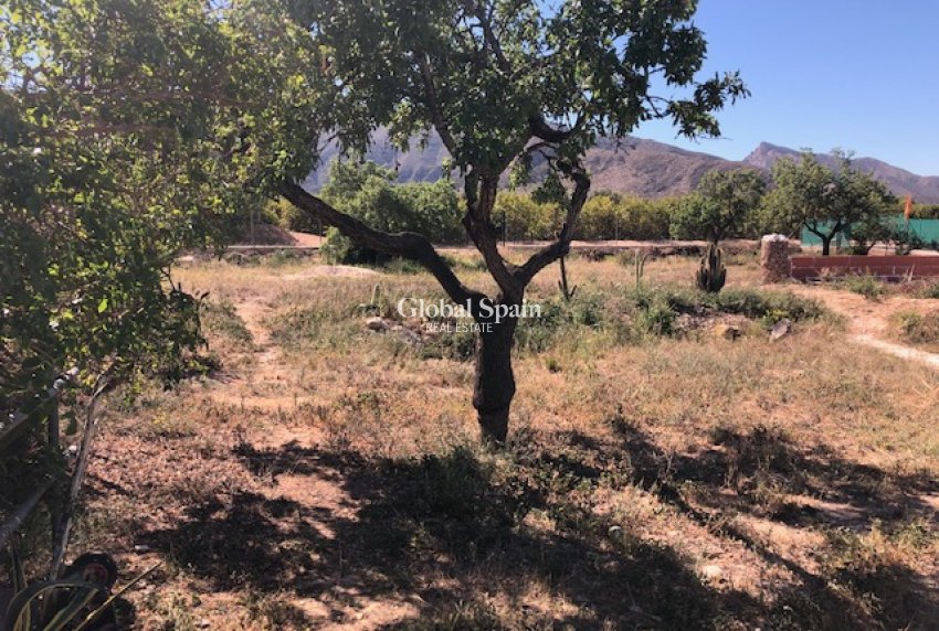 Wederverkoop -  -
LA MATANZA - La Matanza