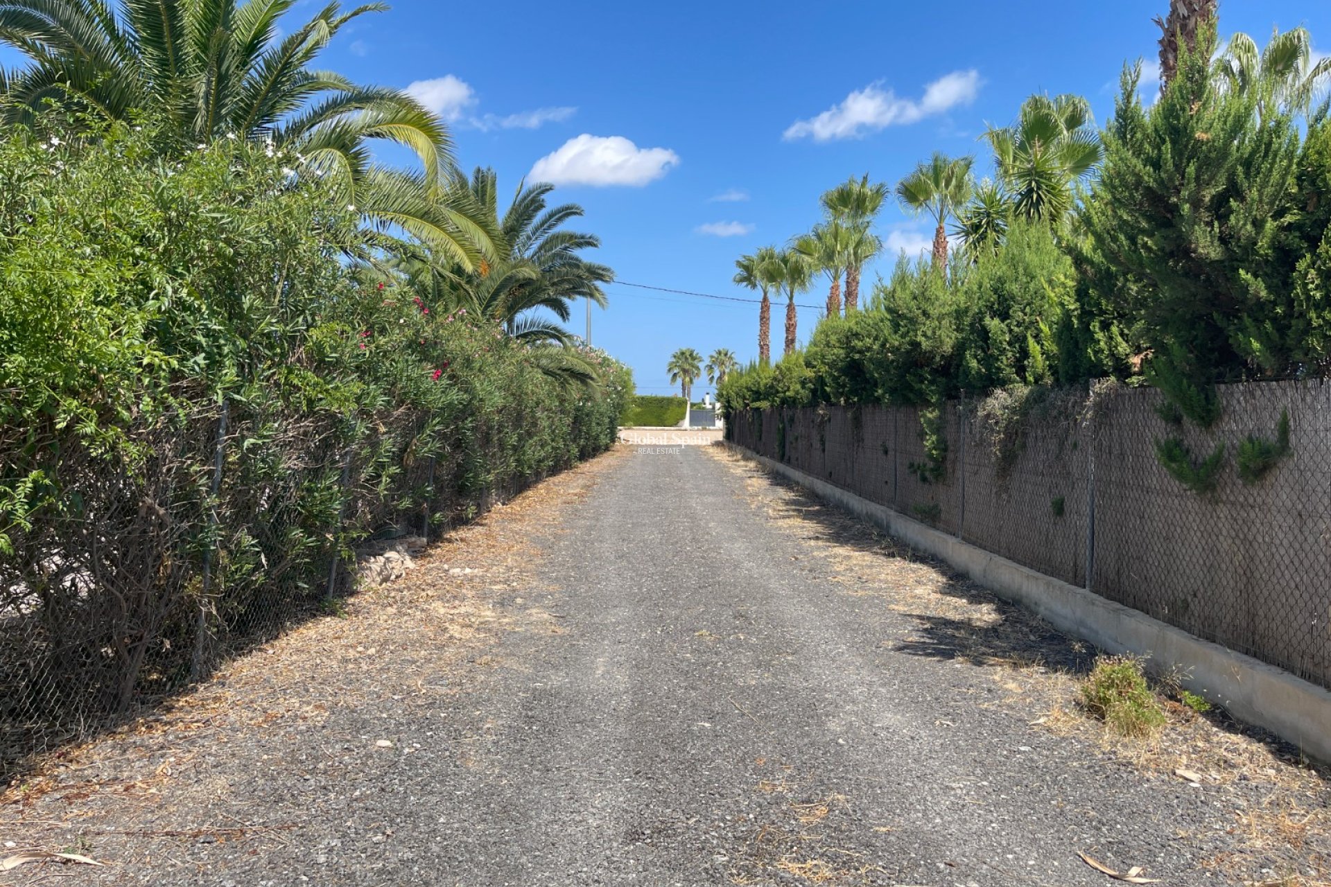 Wederverkoop - Landelijk onroerend goed/Finca -
Benejuzar - Comunidad Valenciana