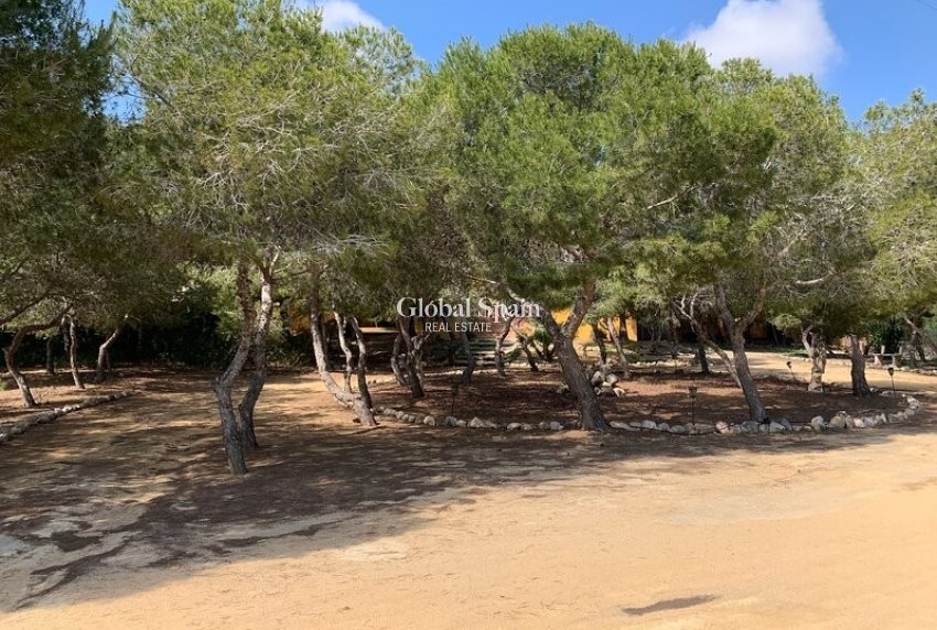 Wederverkoop - Onafhankelijke villa -
ROJALES - Ciudad Quesada