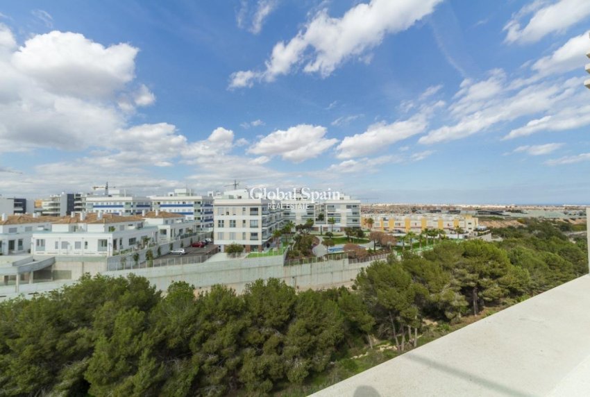 Wederverkoop - PENTHOUSE -
LOS DOLSES - Inland