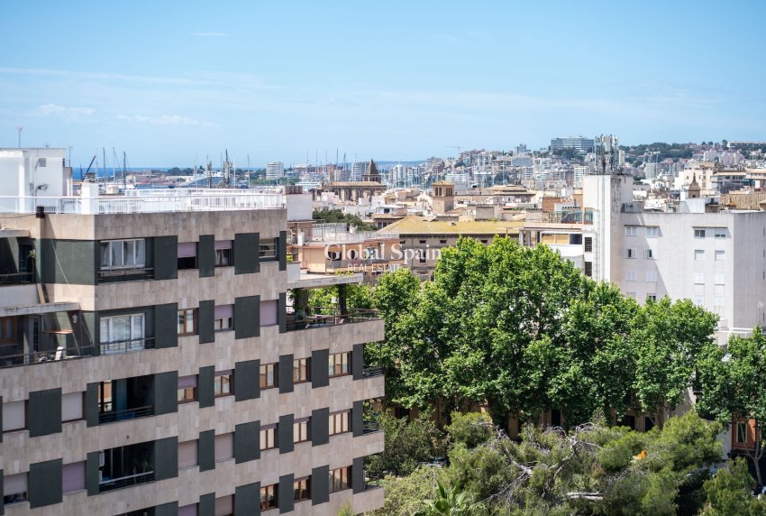 Wederverkoop - PENTHOUSE -
PALMA