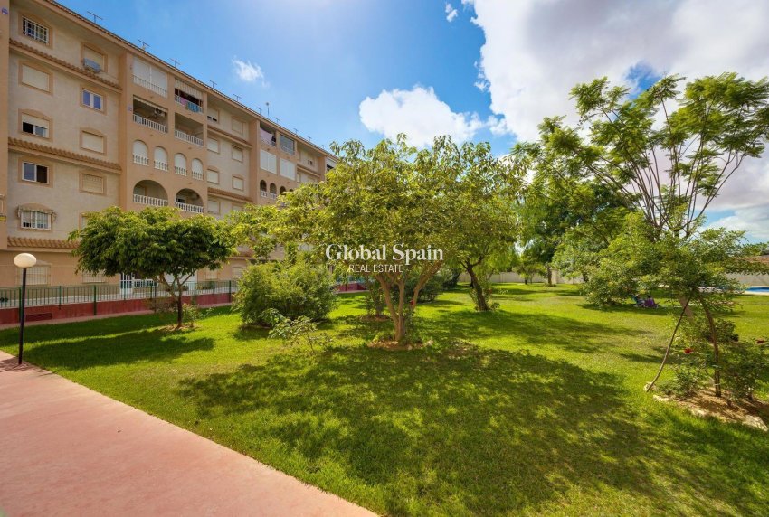 Wederverkoop - PENTHOUSE -
TORREVIEJA - Center