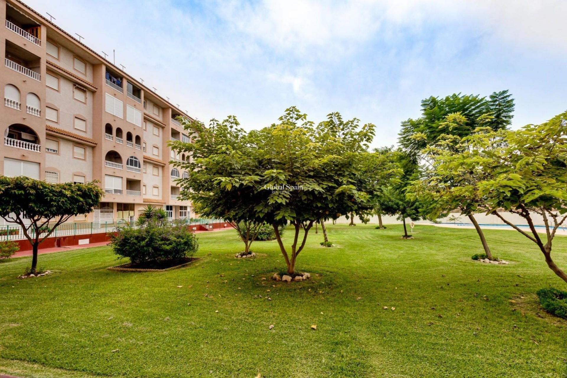 Wederverkoop - PENTHOUSE -
TORREVIEJA - Center