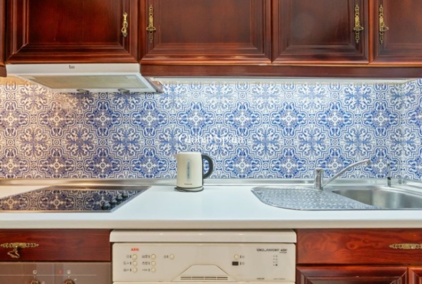 Wederverkoop - PENTHOUSE -
TORREVIEJA - Costa Blanca