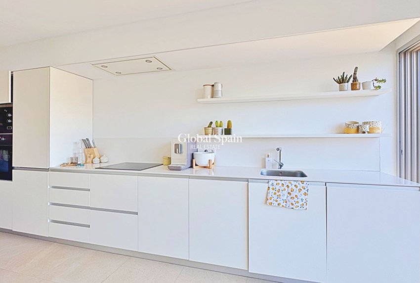 Wederverkoop - PENTHOUSE -
TORREVIEJA - Costa Blanca