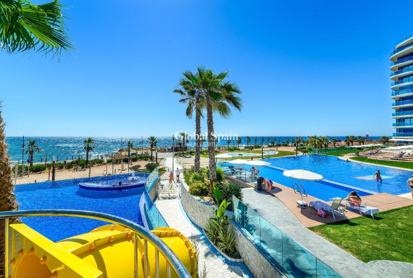 Wederverkoop - PENTHOUSE -
TORREVIEJA - Costa Blanca