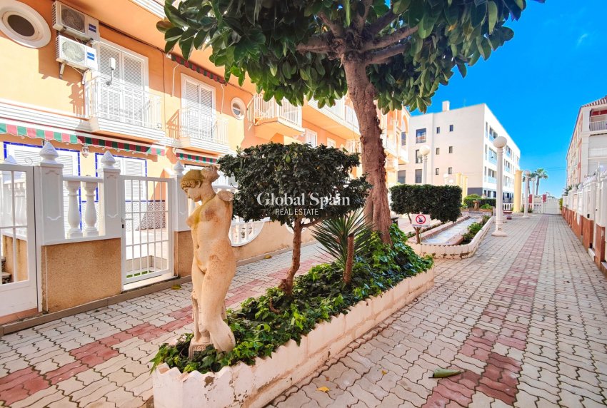 Wederverkoop - PENTHOUSE -
TORREVIEJA - Costa Blanca