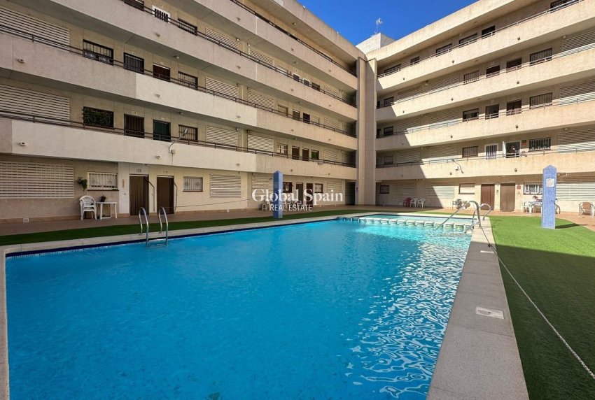 Wederverkoop - PENTHOUSE -
TORREVIEJA - Estacion de autobuses