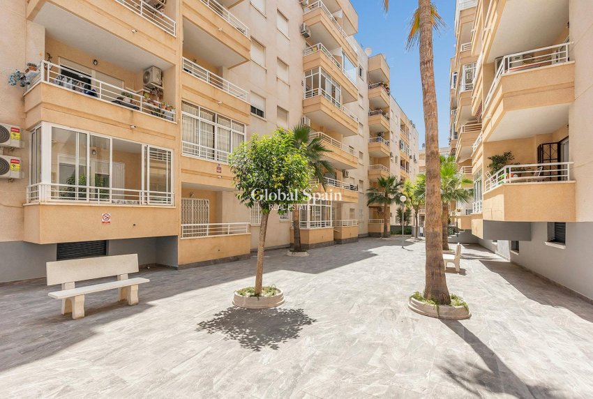 Wederverkoop - PENTHOUSE -
TORREVIEJA - Estacion de autobuses