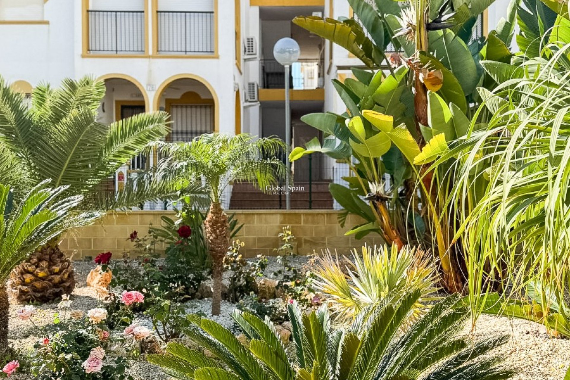 Wederverkoop - PENTHOUSE -
TORREVIEJA - La Mata