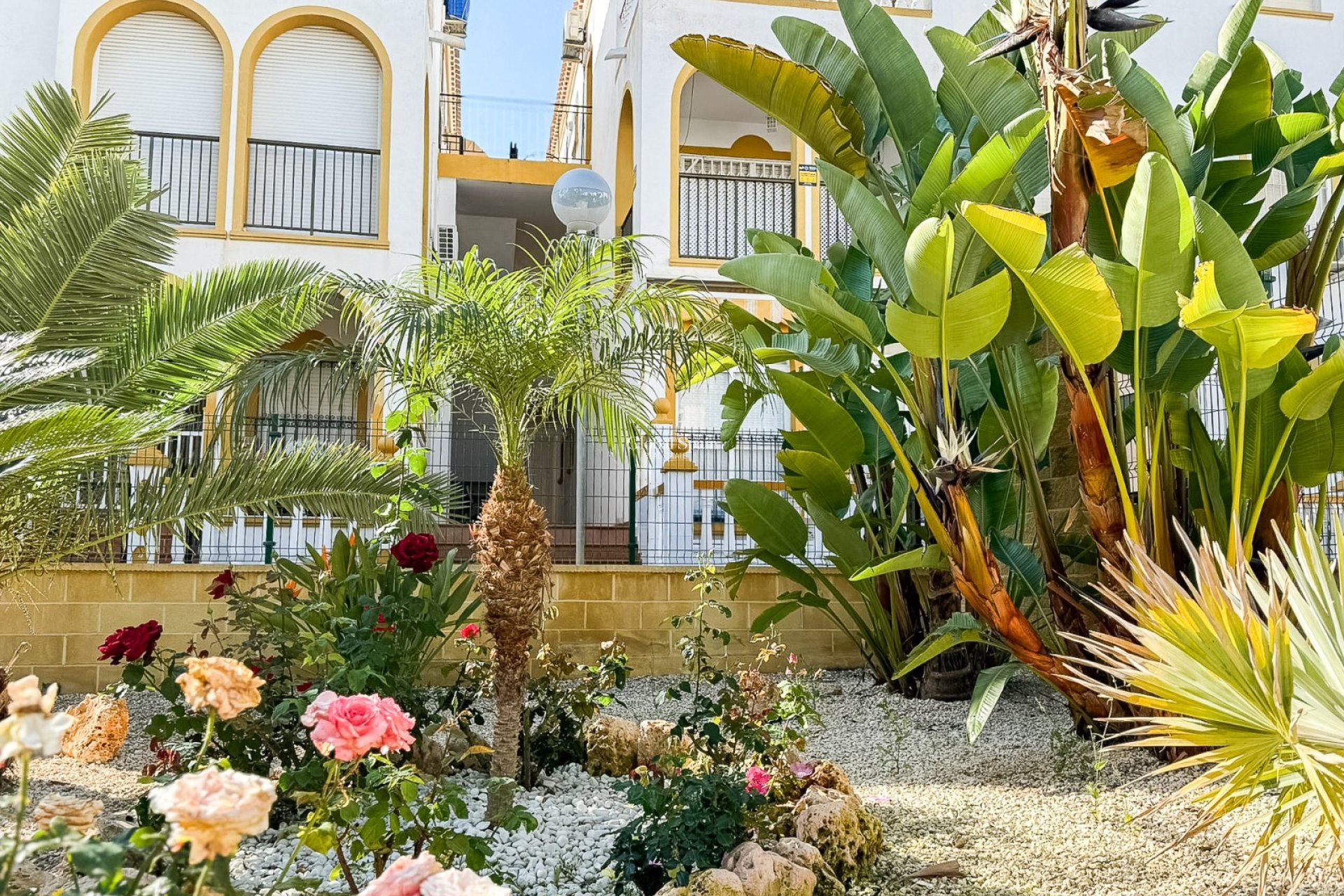 Wederverkoop - Penthouse -
TORREVIEJA - La Mata