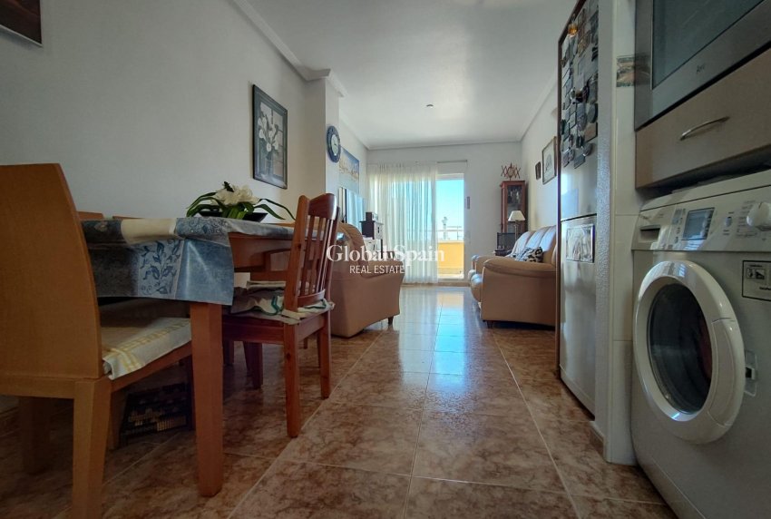 Wederverkoop - PENTHOUSE -
TORREVIEJA - Paseo maritimo