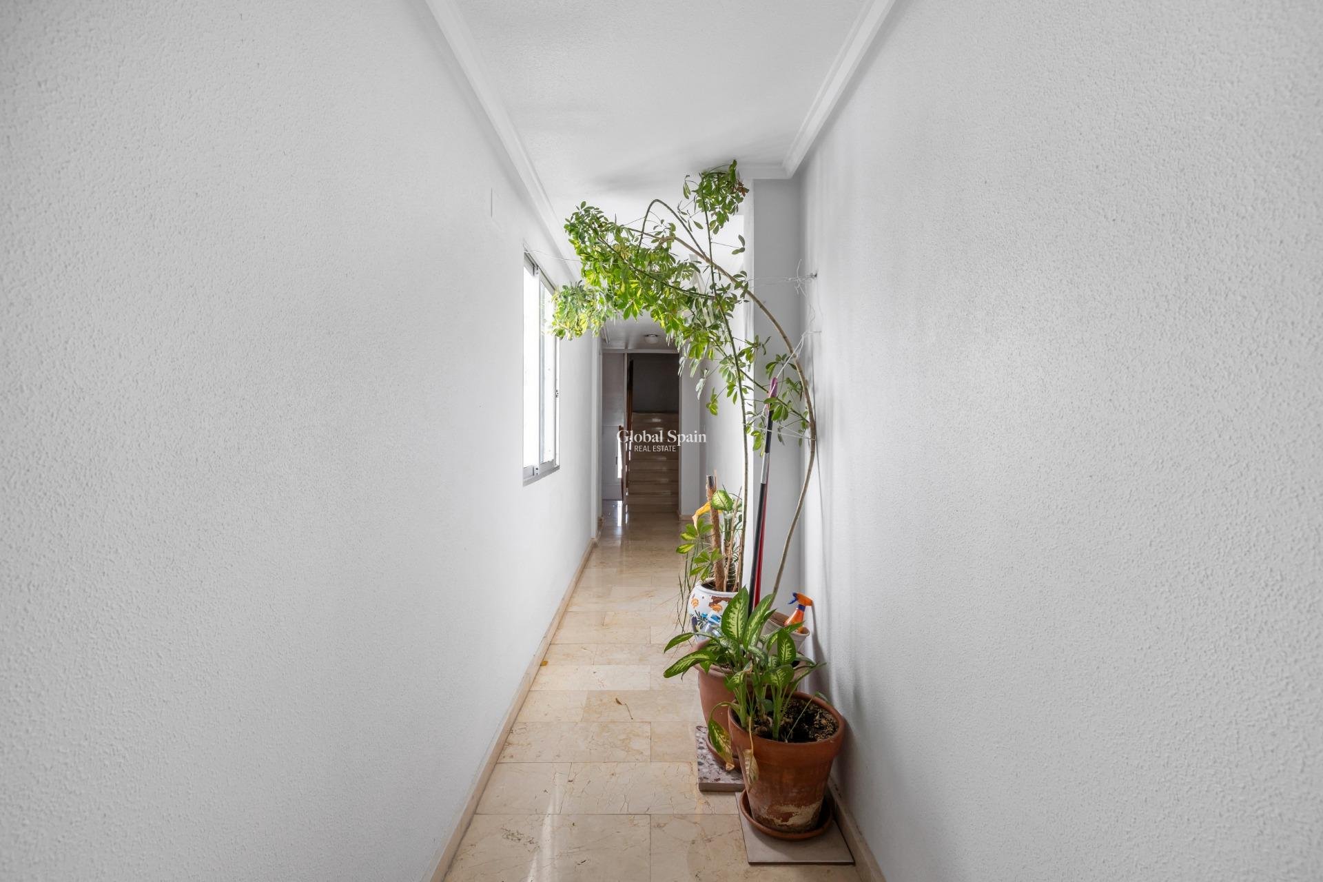Wederverkoop - PENTHOUSE -
TORREVIEJA - Playa del cura