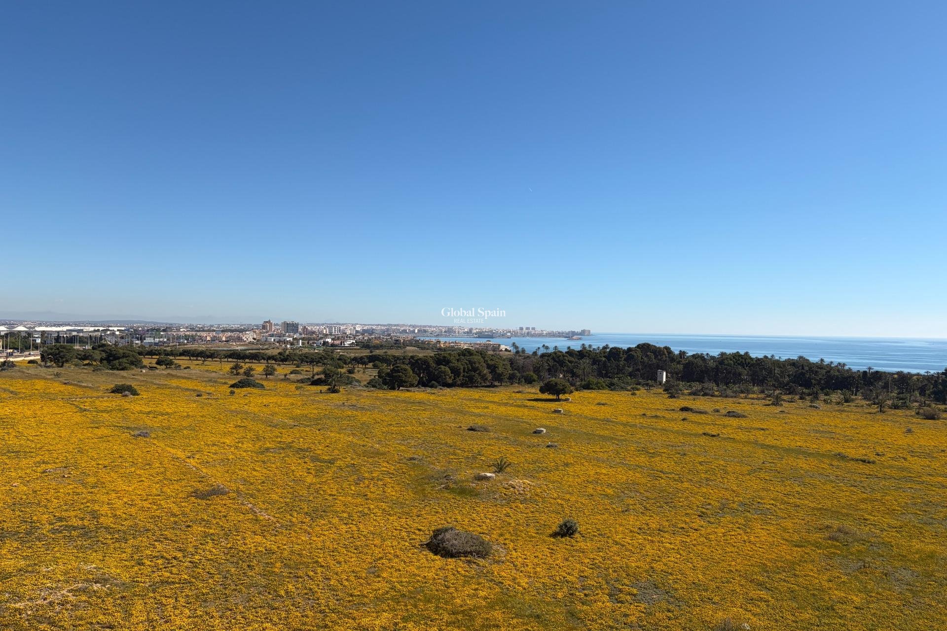 Wederverkoop - PENTHOUSE -
TORREVIEJA - Punta Prima