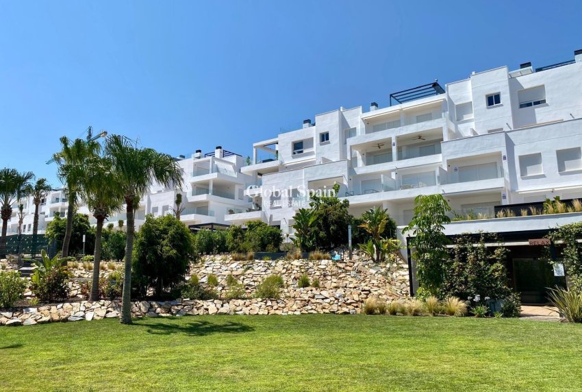 Wederverkoop - PENTHOUSE -
TORREVIEJA - Punta Prima