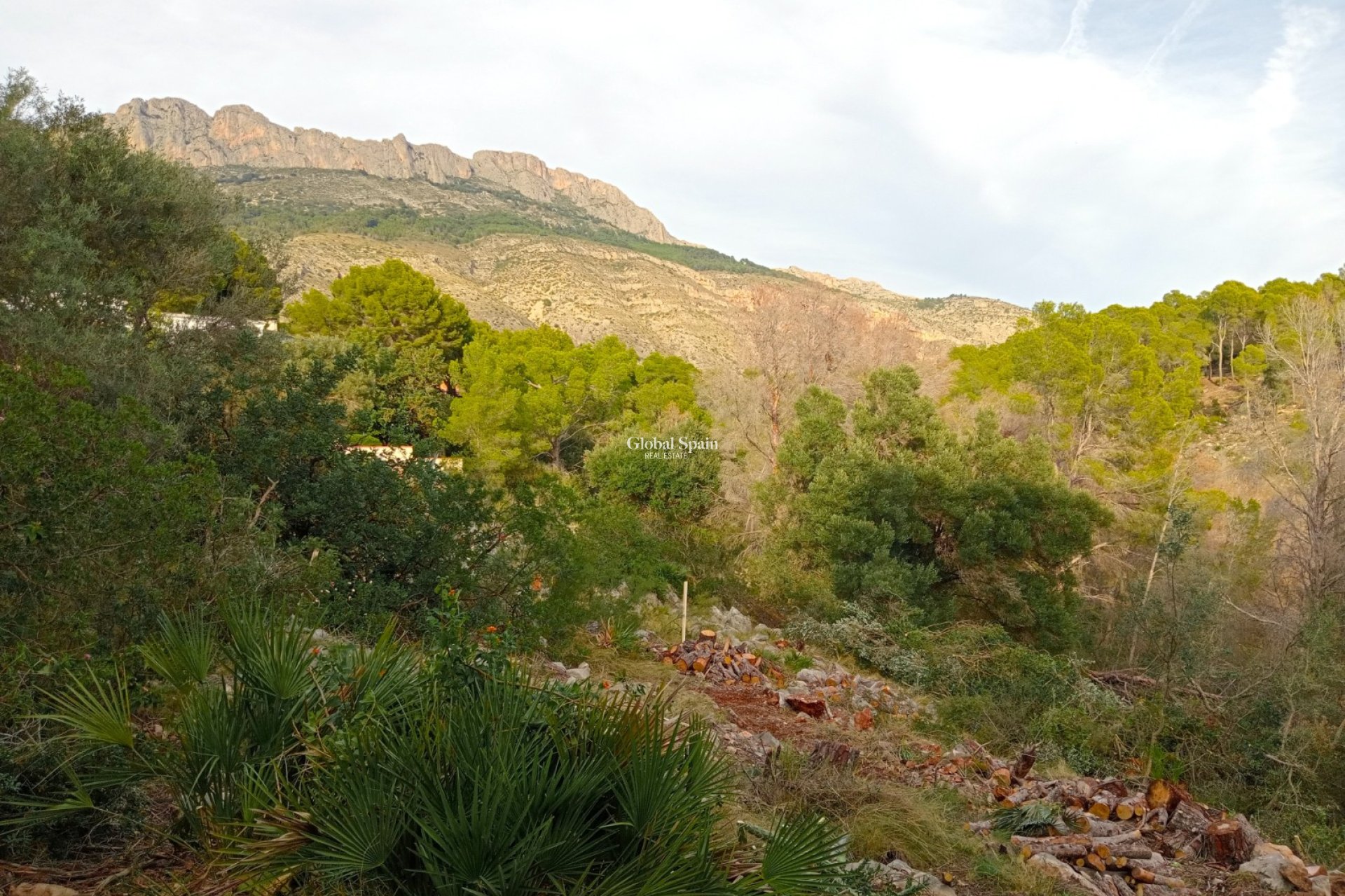 Wederverkoop - Perceel / Land -
ALTEA