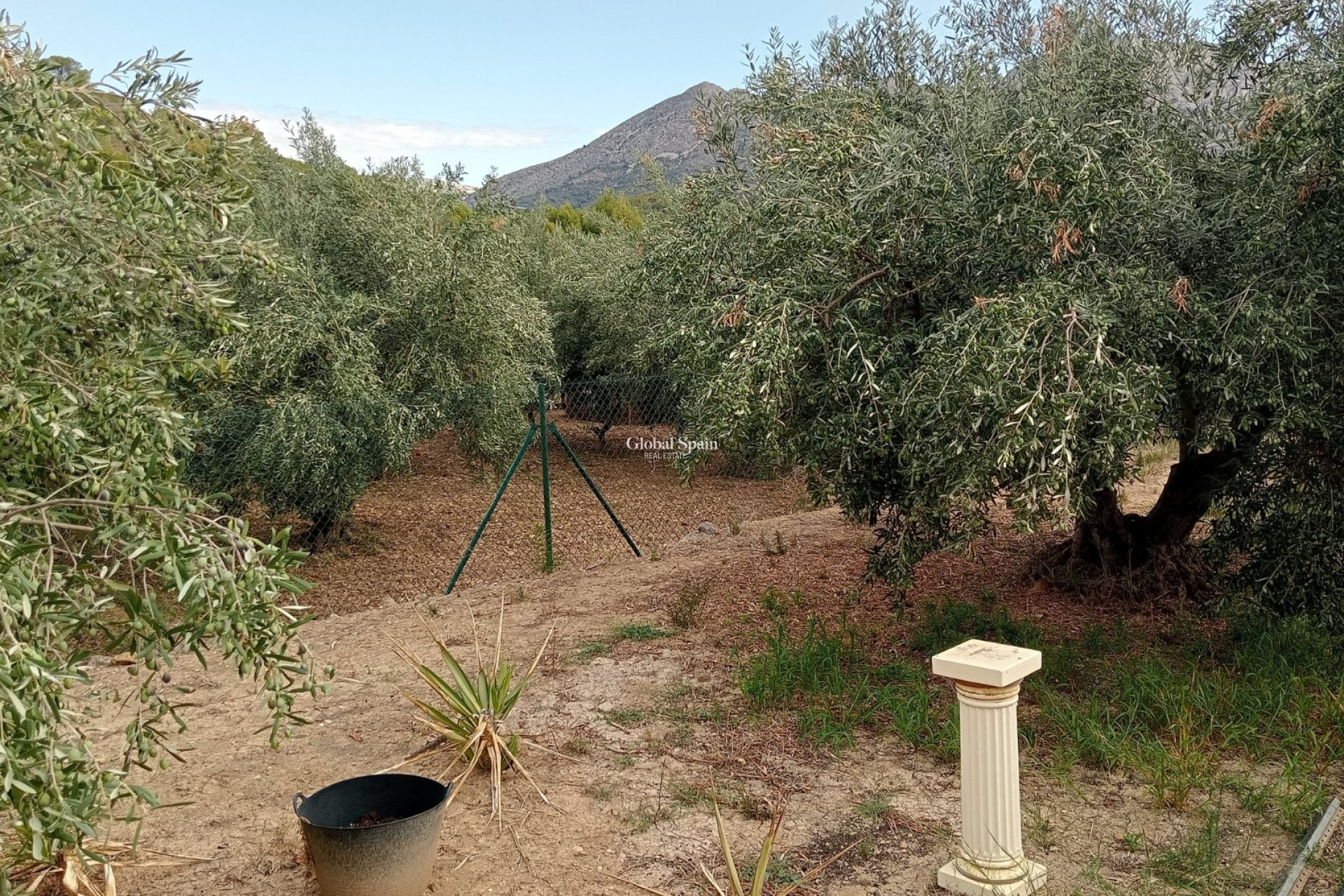 Wederverkoop - Perceel / Land -
La Nucía - La nucia