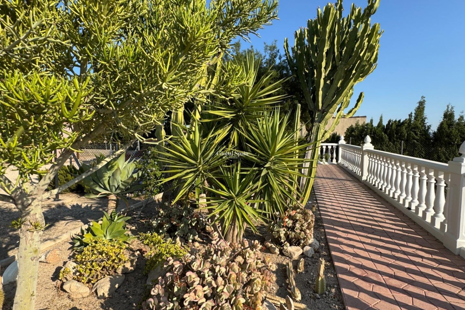 Wederverkoop - VILLA -
ALBATERA - Partida Lomas