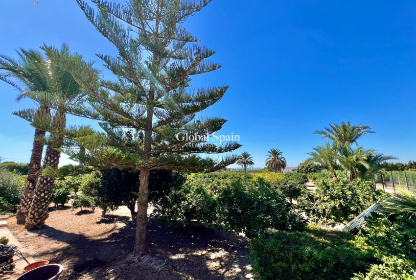 Wederverkoop - VILLA -
ALMORADÍ - Comunidad Valenciana
