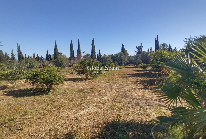 Wederverkoop - VILLA -
AVILESES - Inland