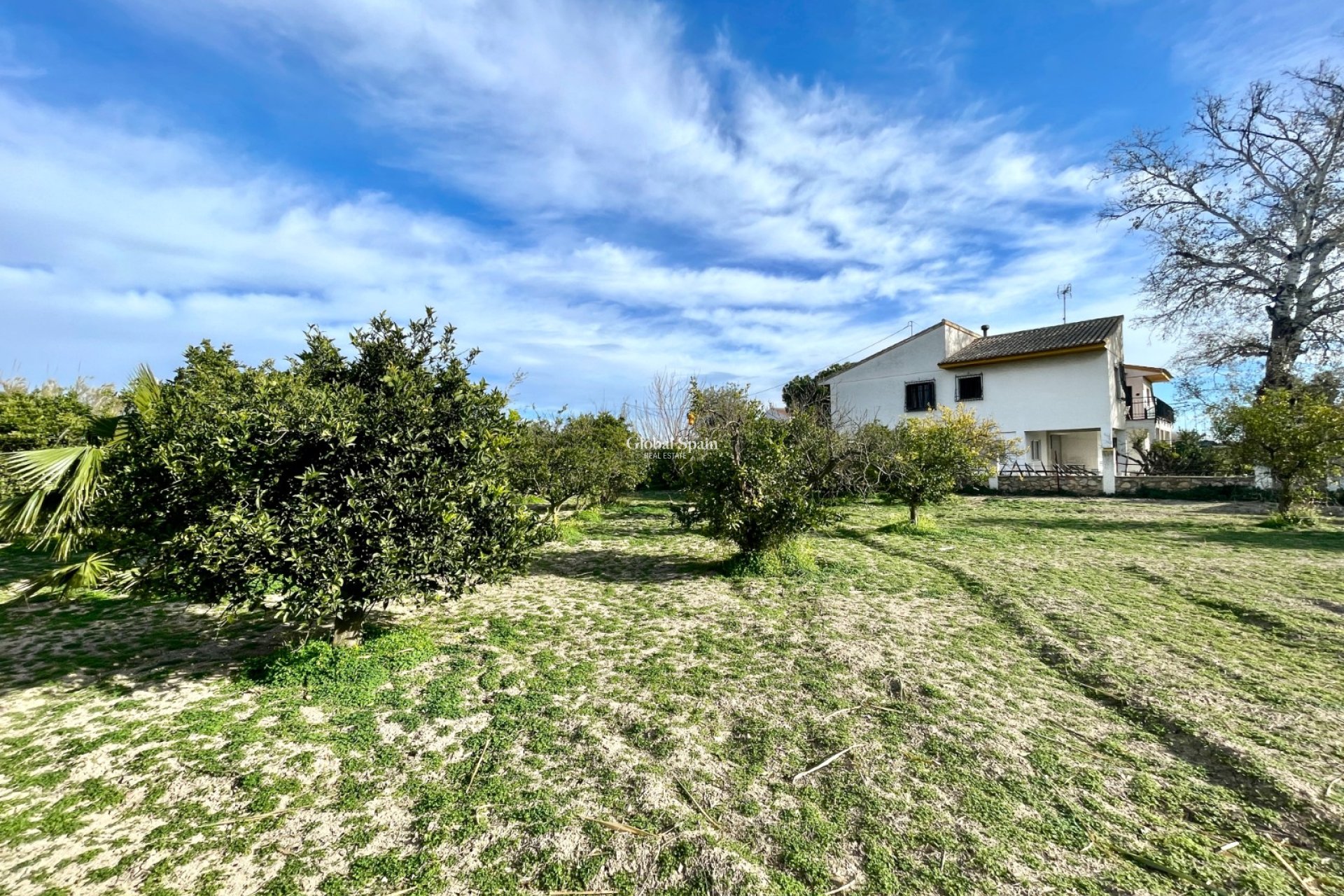Wederverkoop - VILLA -
BENEJÚZAR - Inland