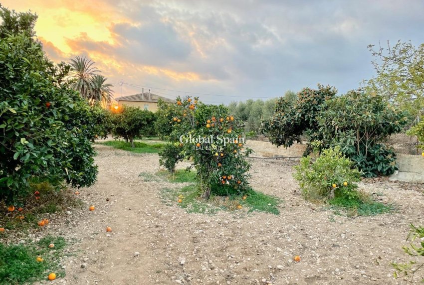 Wederverkoop - VILLA -
BENIDORM - Salto Del Agua