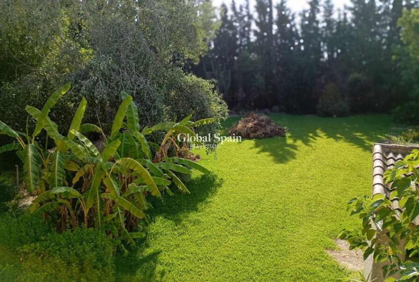 Wederverkoop - VILLA -
DAYA NUEVA - Costa Blanca