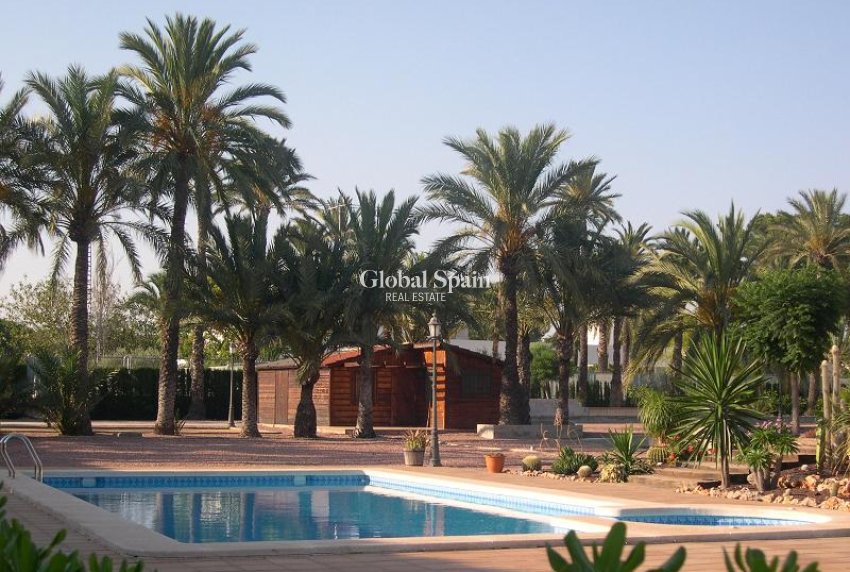 Wederverkoop - VILLA -
ELCHE - Costa Blanca