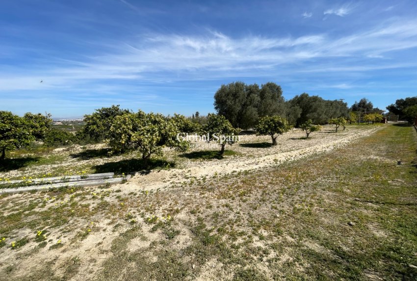 Wederverkoop - VILLA -
GUARDAMAR DEL SEGURA - Costa Blanca