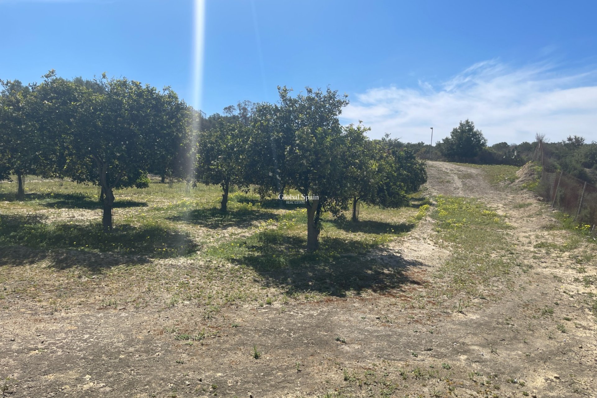 Wederverkoop - VILLA -
GUARDAMAR DEL SEGURA - Costa Blanca