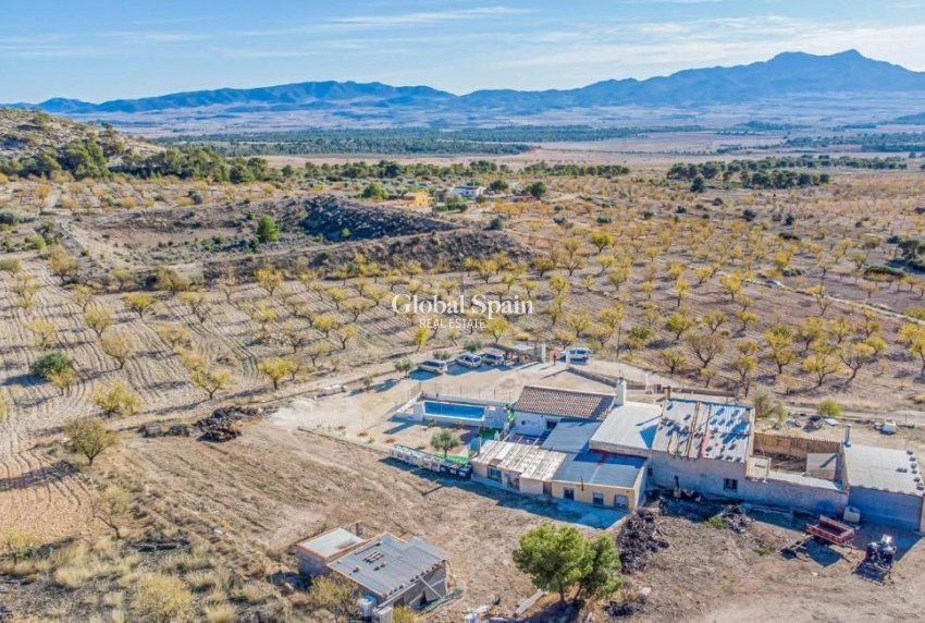 Wederverkoop - VILLA -
JUMILLA - Inland