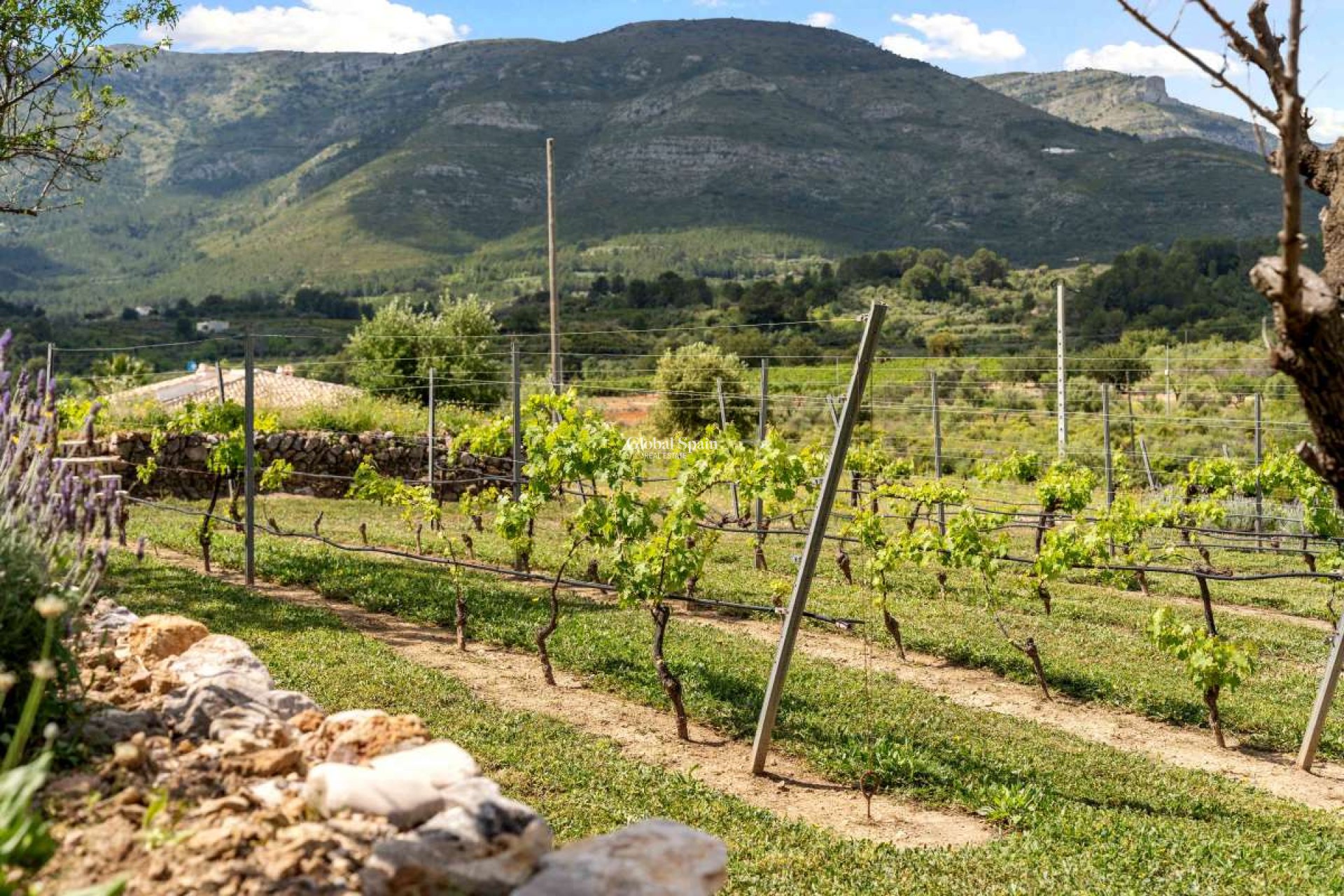 Wederverkoop - VILLA -
MURCIA - Inland