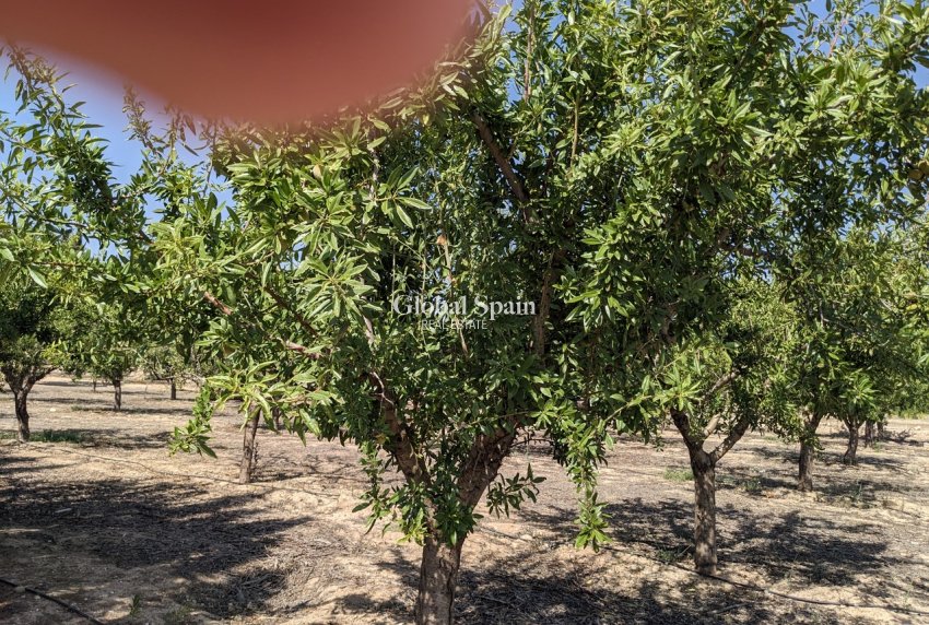 Wederverkoop - VILLA -
MURCIA - Inland