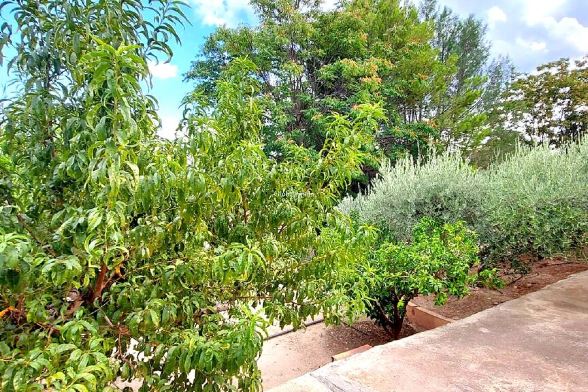 Wederverkoop - VILLA -
MURCIA - Inland