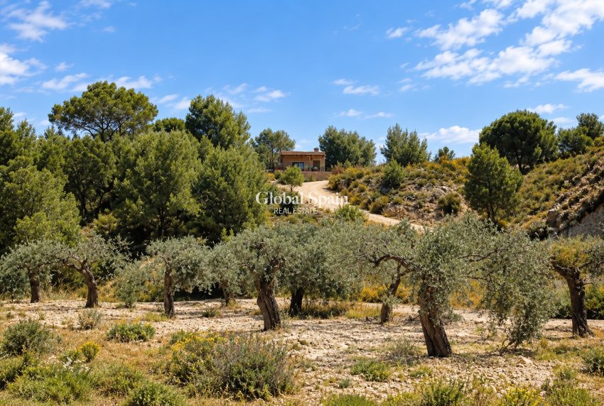 Wederverkoop - VILLA -
MURCIA - Inland