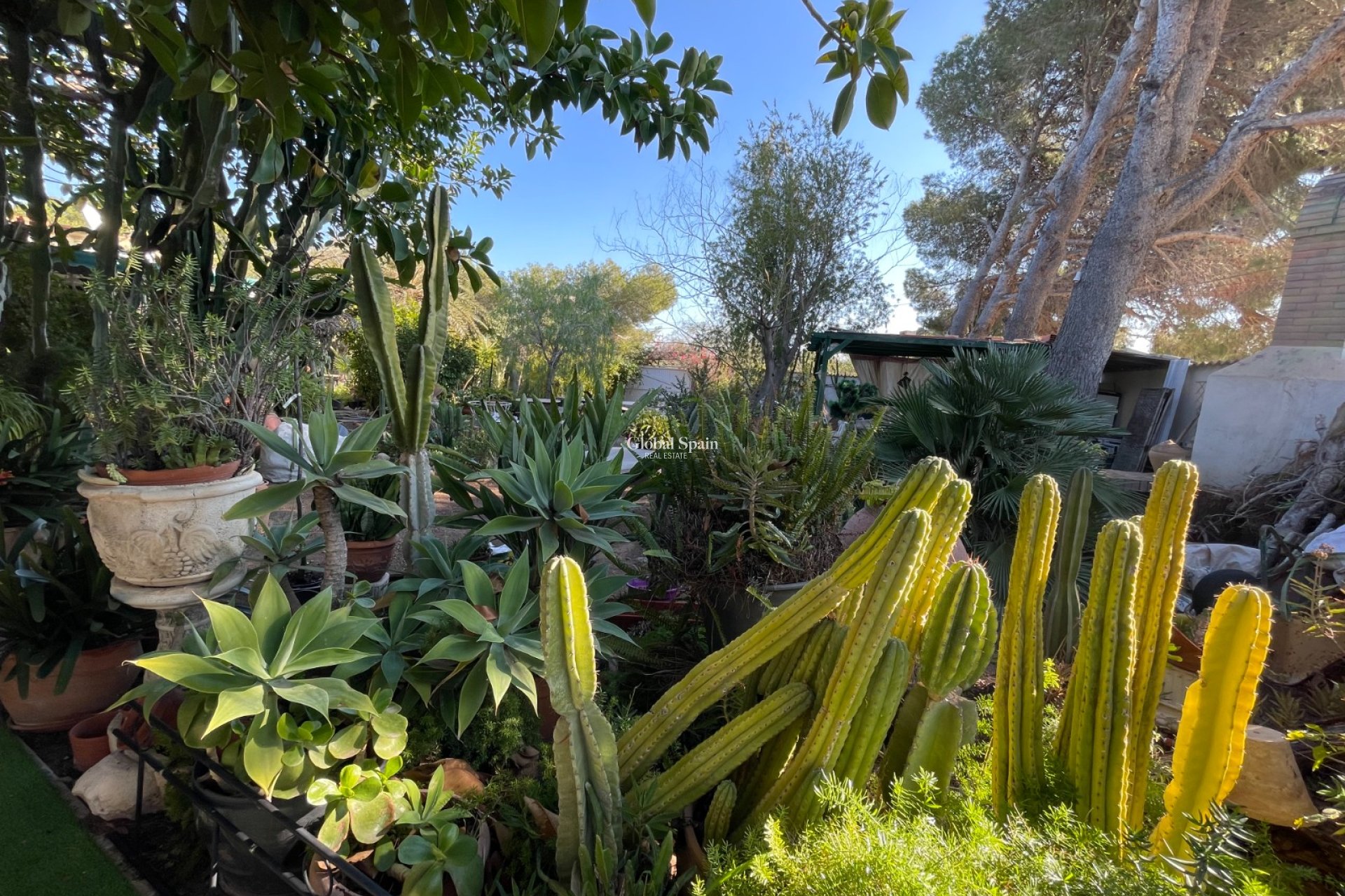 Wederverkoop - VILLA -
ORIHUELA COSTA - Costa Blanca