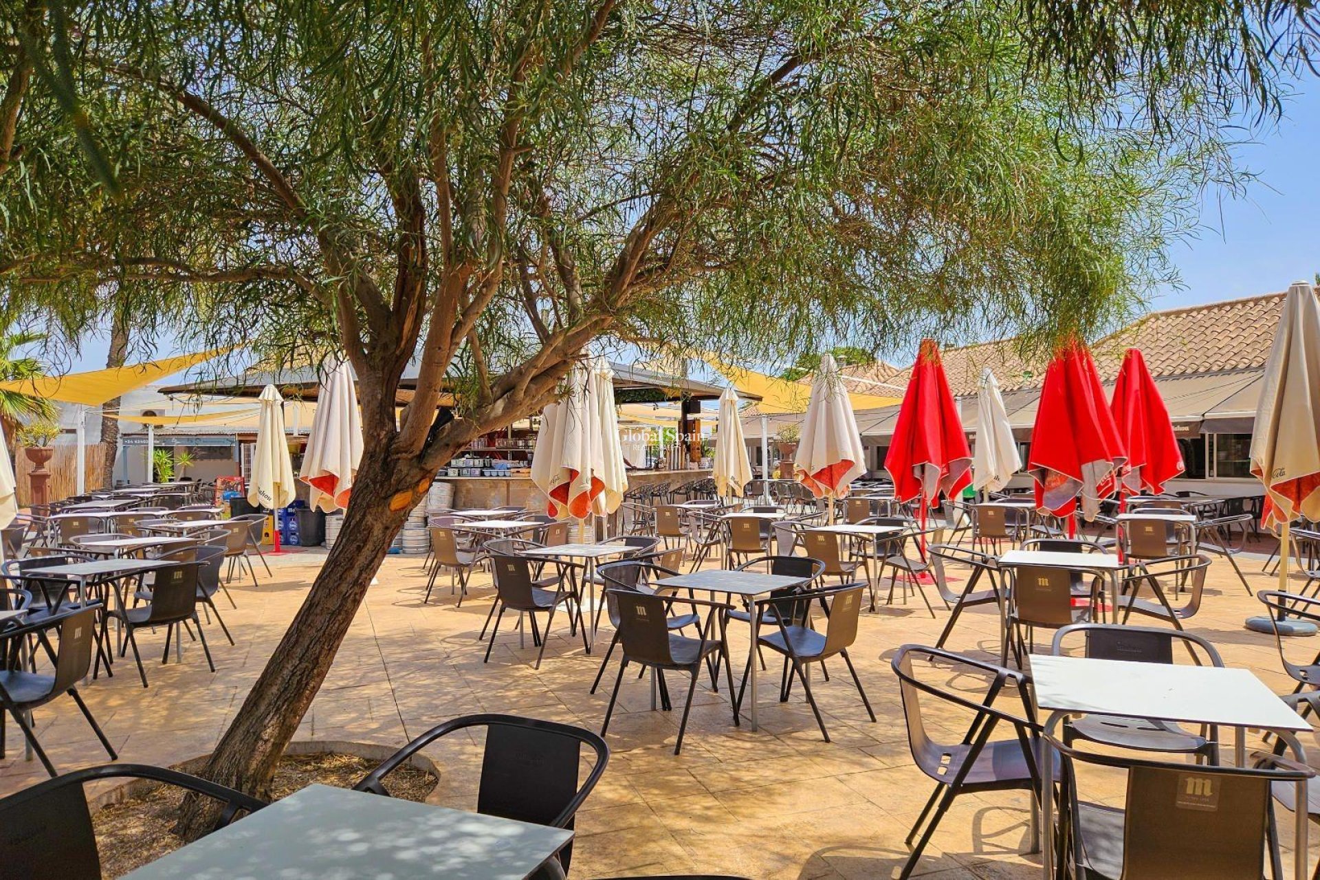 Wederverkoop - VILLA -
TORREVIEJA - Calas blanca