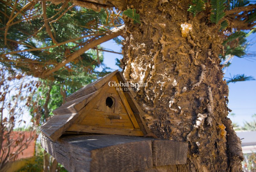 Wederverkoop - VILLA -
TORREVIEJA - Costa Blanca