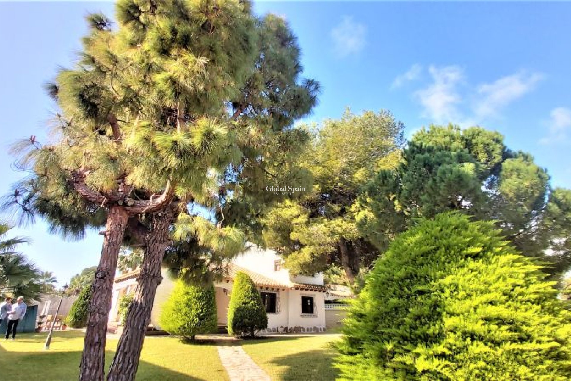 Wederverkoop - VILLA -
TORREVIEJA - Costa Blanca