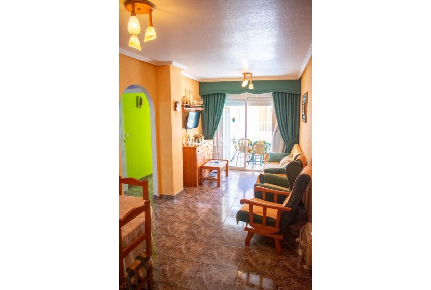 Wiederverkauf - Apartment - Wohnung -
GUARDAMAR DEL SEGURA - Guardamar pueblo