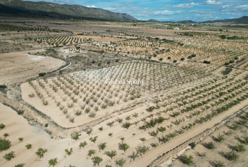 Wiederverkauf - Grond -
Pinoso