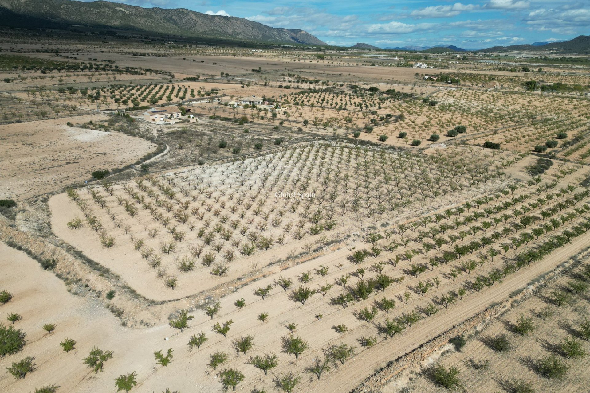 Wiederverkauf - Grond -
Pinoso