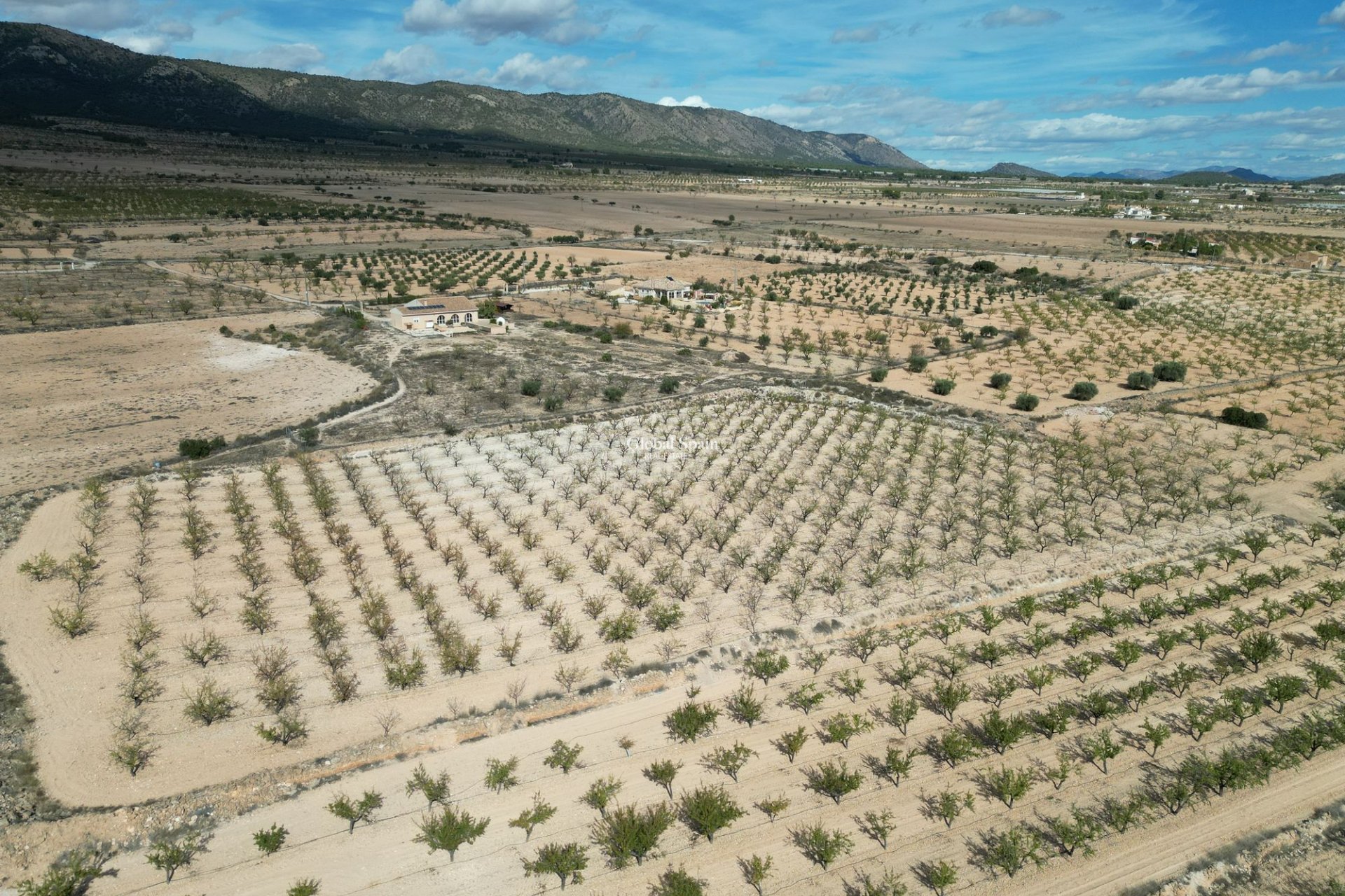 Wiederverkauf - Grond -
Pinoso