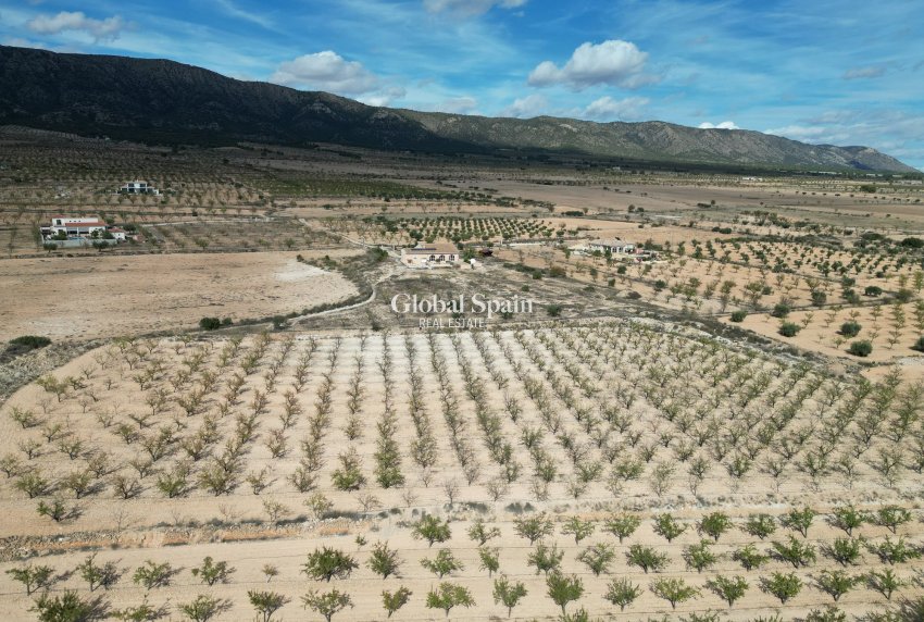 Wiederverkauf - Grond -
Pinoso