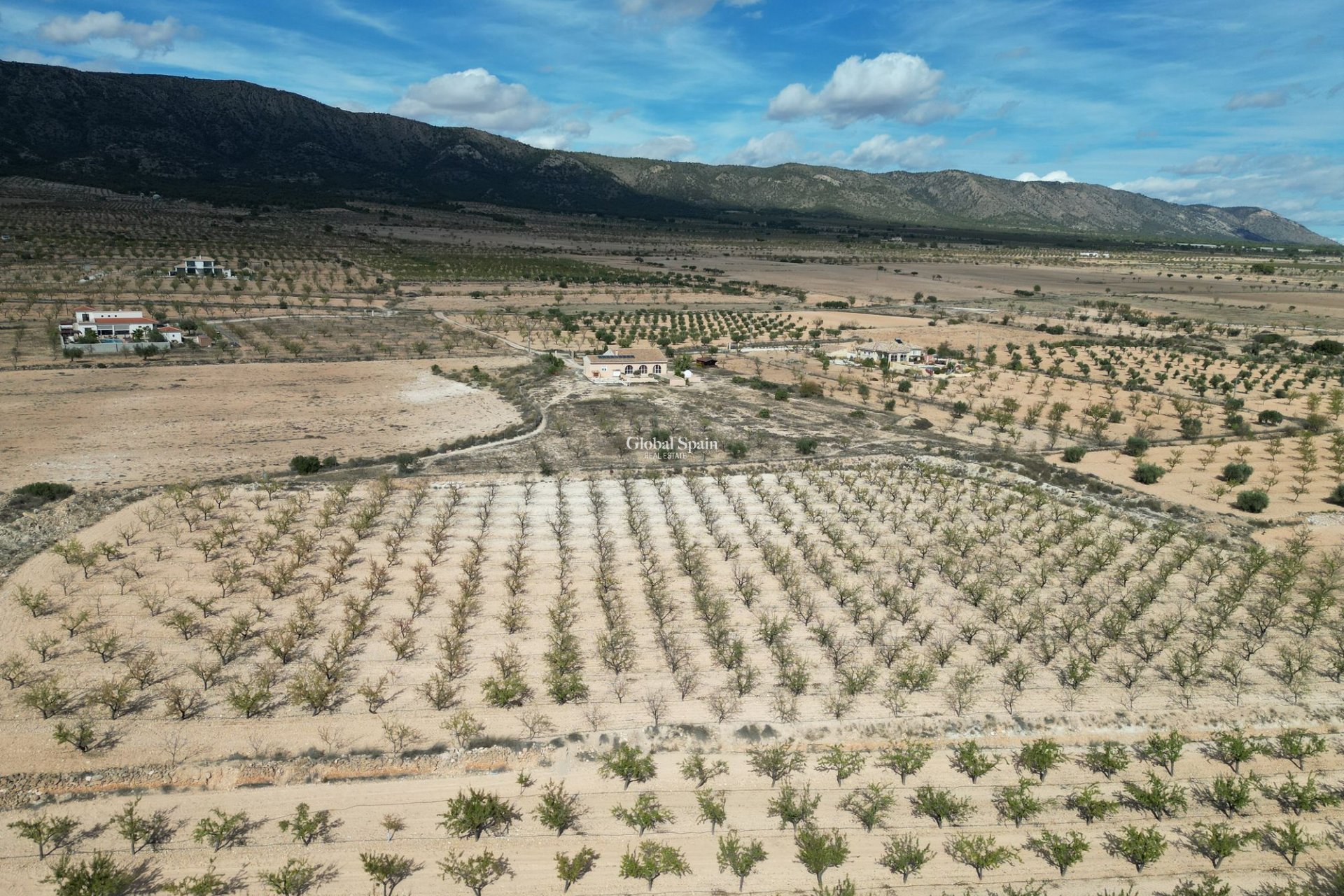 Wiederverkauf - Grond -
Pinoso