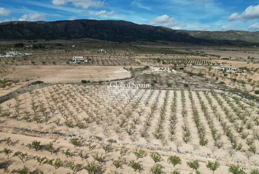 Wiederverkauf - Grond -
Pinoso