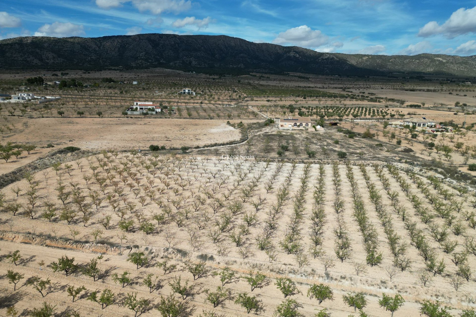 Wiederverkauf - Grond -
Pinoso