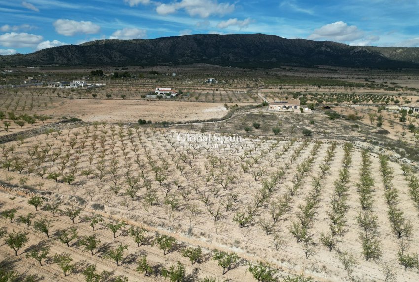 Wiederverkauf - Grond -
Pinoso