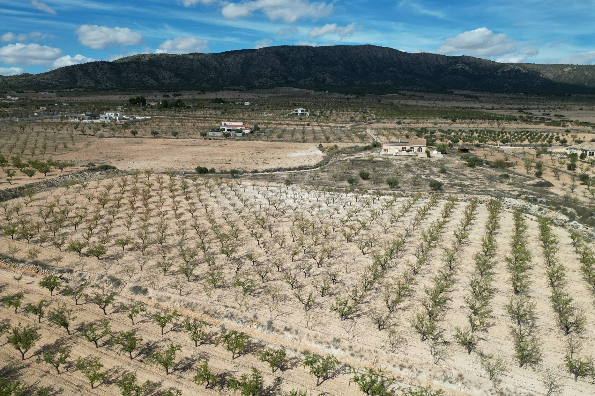 Wiederverkauf - Grond -
Pinoso