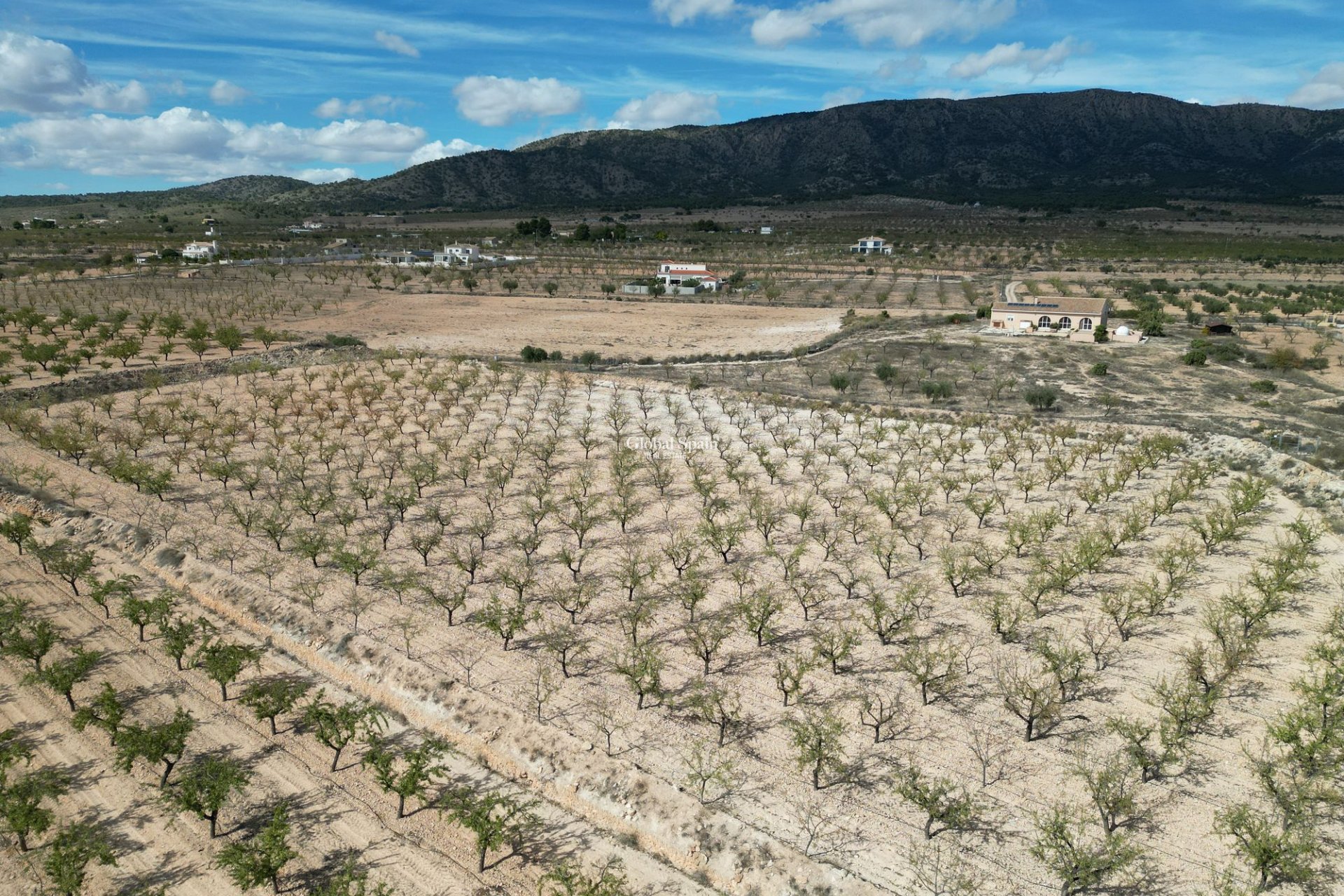 Wiederverkauf - Grond -
Pinoso